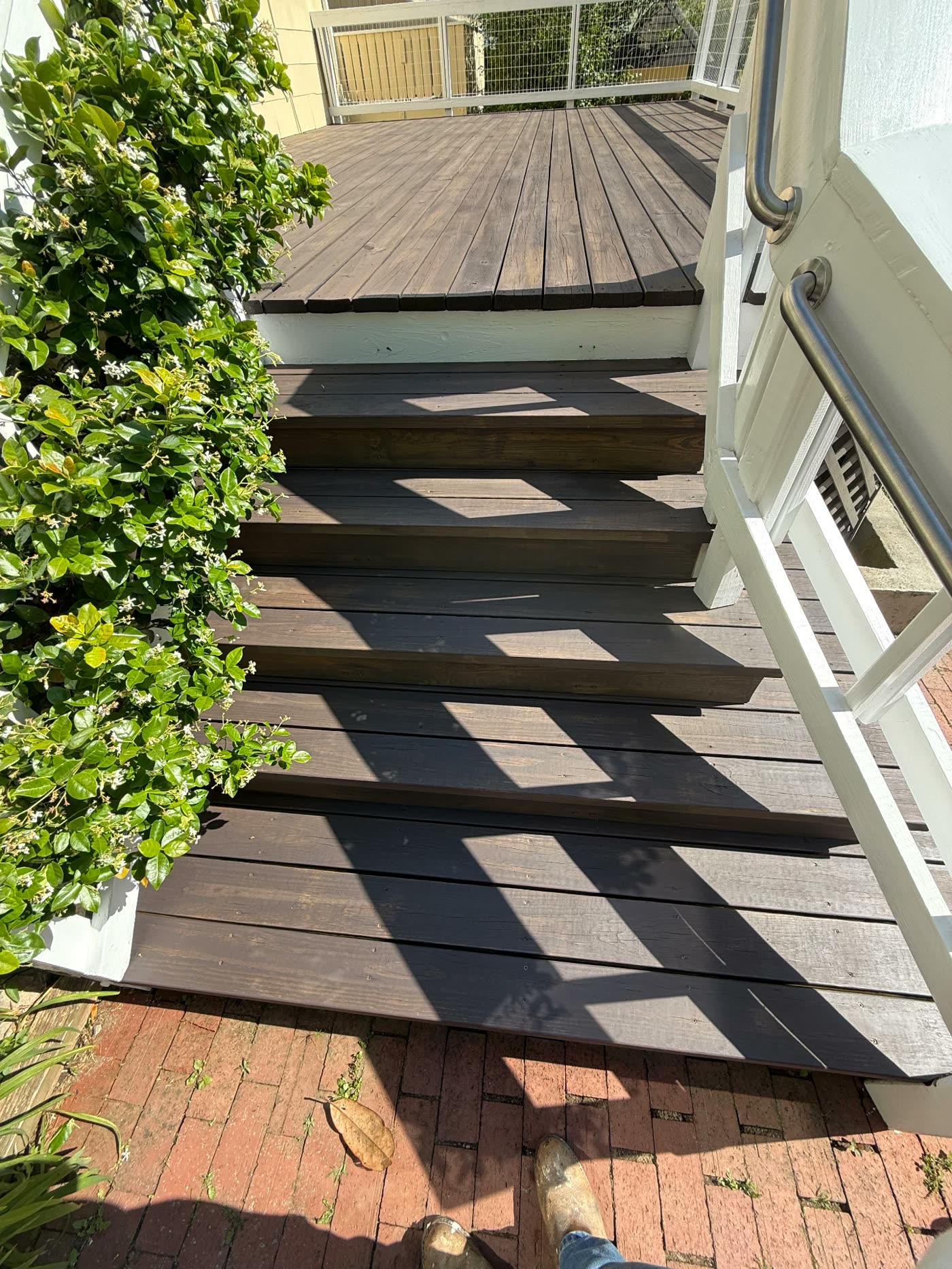 Deck stairs finished with dark stain and crisp white trim
