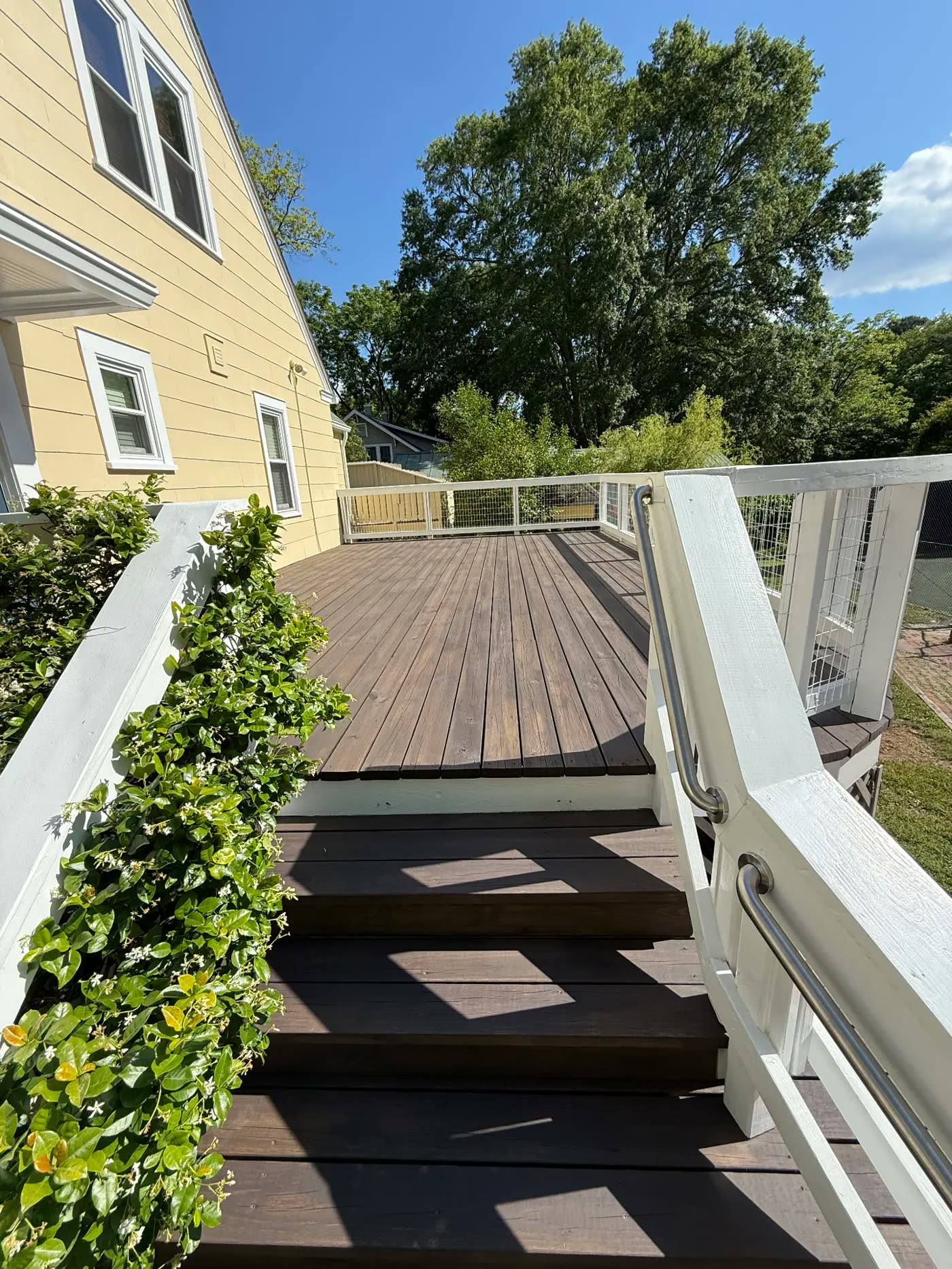 Deck freshly stained in a rich dark finish with white railings